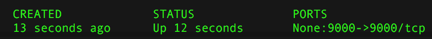 Docker PS output "None:9000->9000tcp"